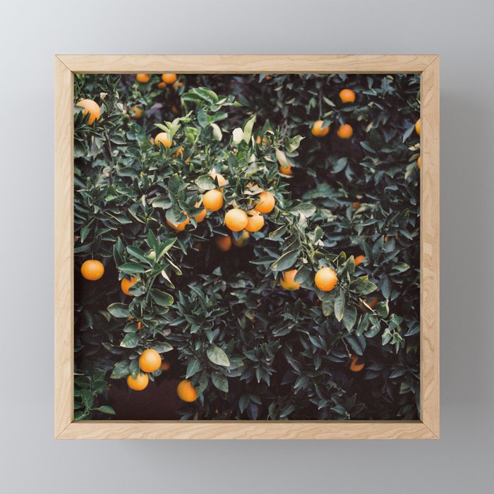 Oranges I | Moody colorful travel photography | Square  Mini Art Print Gallery Image 1