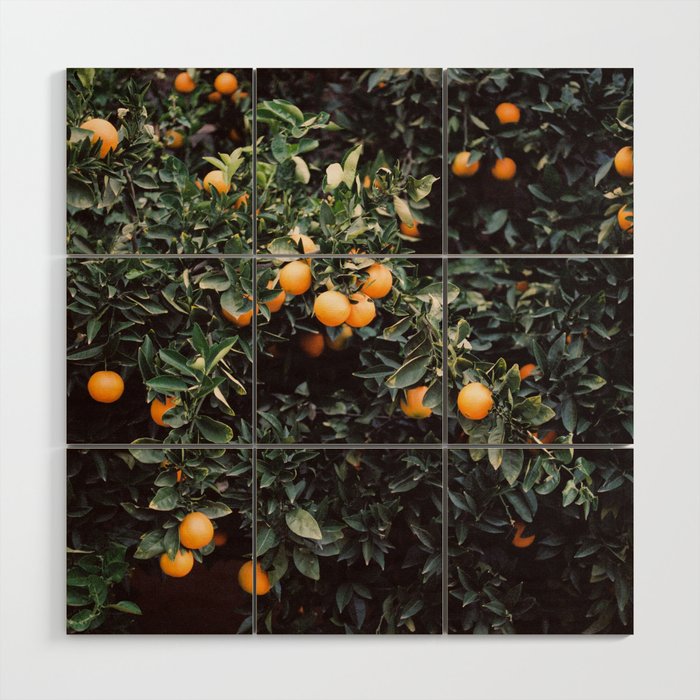 Oranges I | Moody colorful travel photography | Square  Wood Wall Art Gallery Image 1