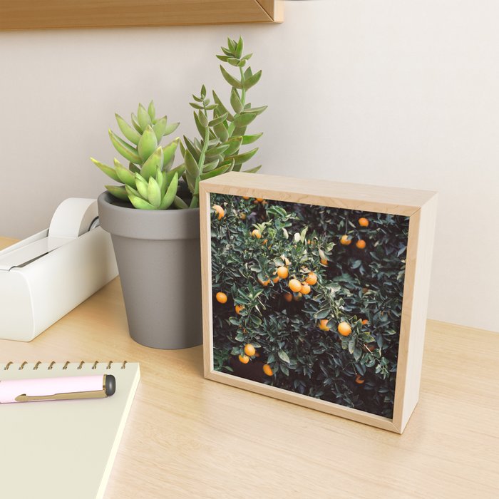Oranges I | Moody colorful travel photography | Square  Mini Art Print Gallery Image 2