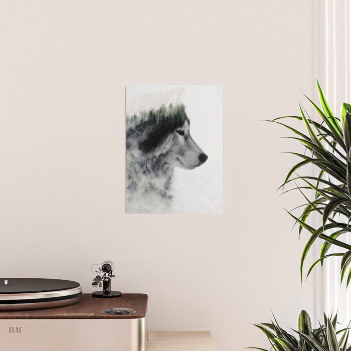 Wolf Stare Poster Gallery Image 2