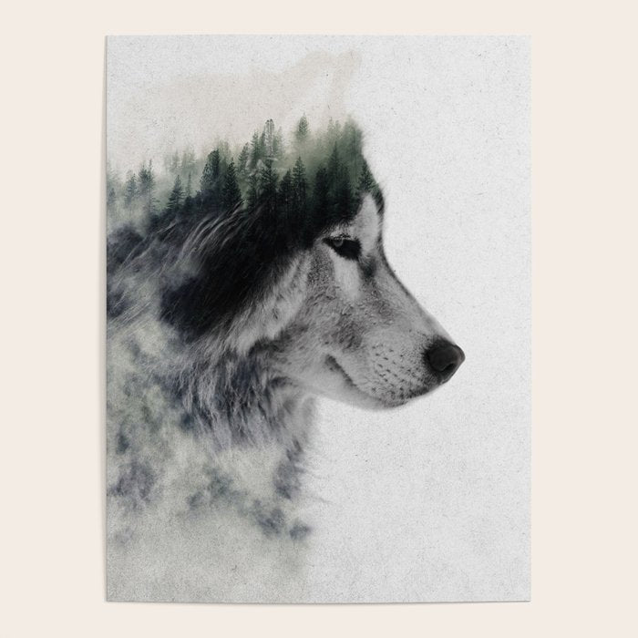 Wolf Stare Poster Gallery Image 4