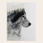 Wolf Stare Poster Gallery Image 4