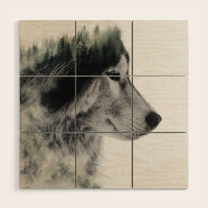 Wolf Stare Wood Wall Art Gallery Image 1