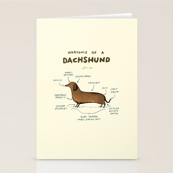 Anatomy of a Dachshund Stationery Card Gallery Image 2