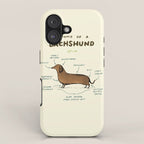 Anatomy of a Dachshund iPhone Case Gallery Image 1