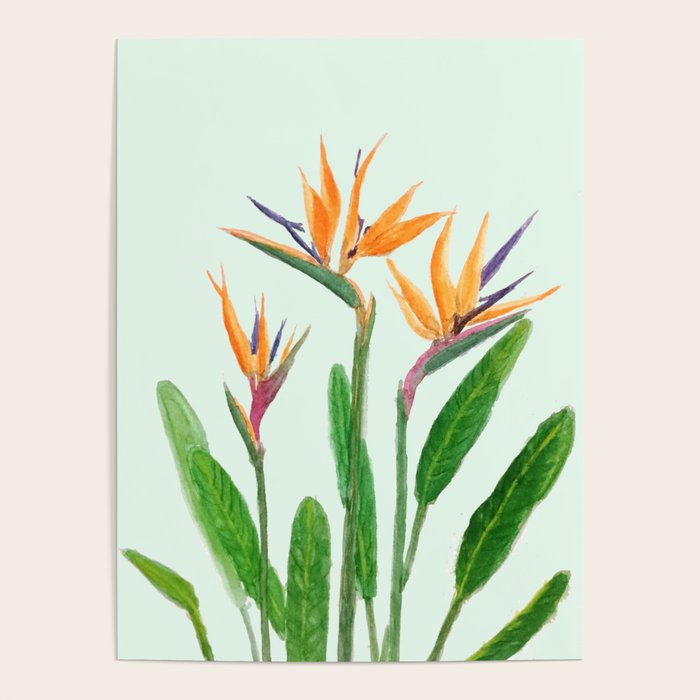 bird of paradise flower painting Poster Gallery Image 1