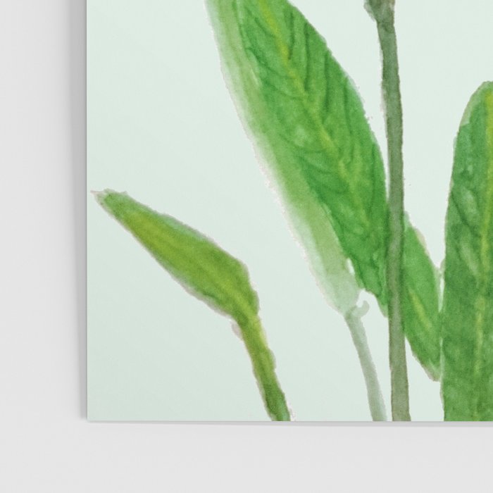 bird of paradise flower painting Poster Gallery Image 3