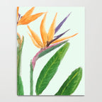 bird of paradise flower painting Notebook Gallery Image 4