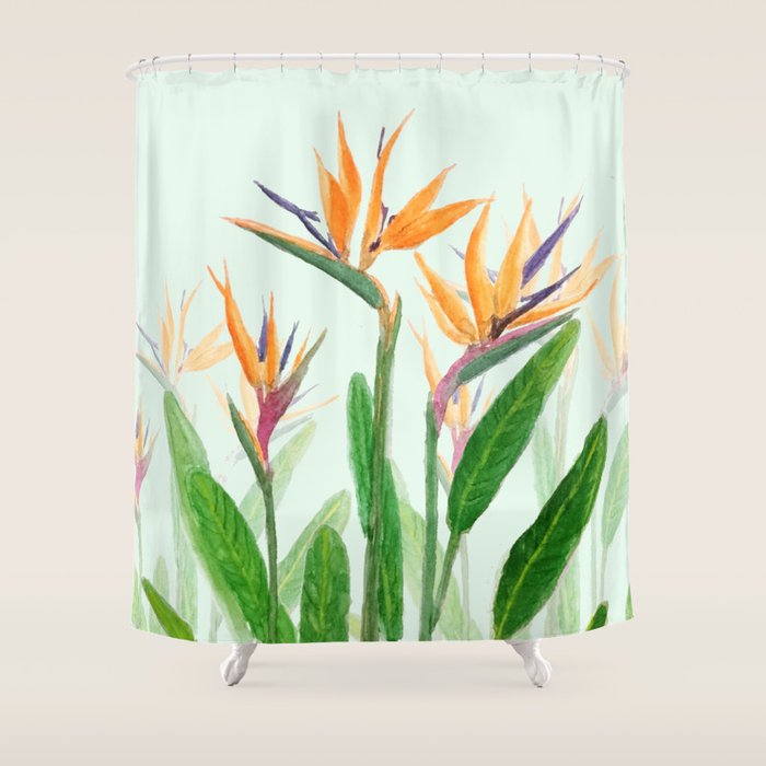 bird of paradise flower painting Shower Curtain Gallery Image 1