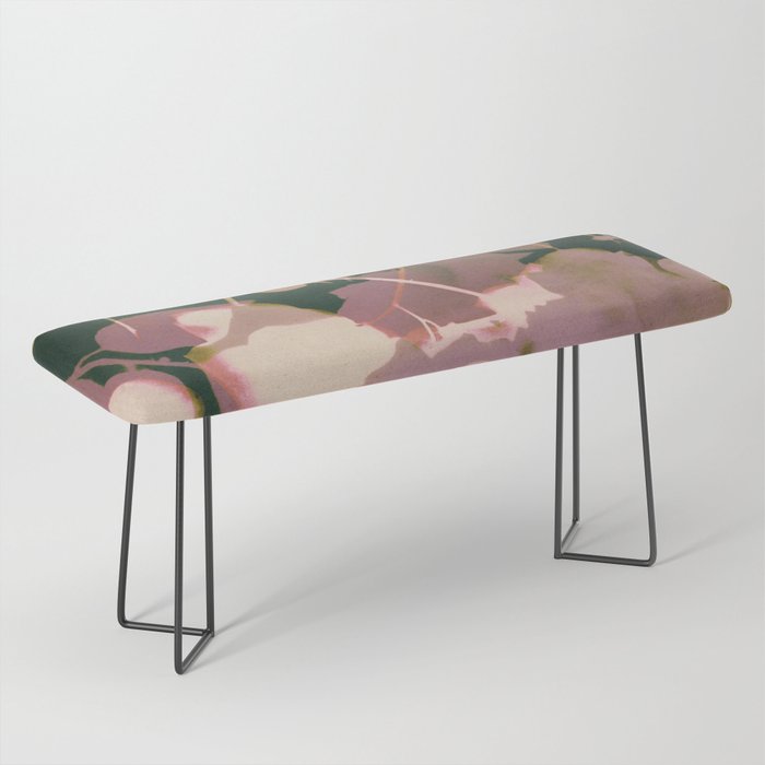 Magic in the Ordinary #6 Bench Gallery Image 1