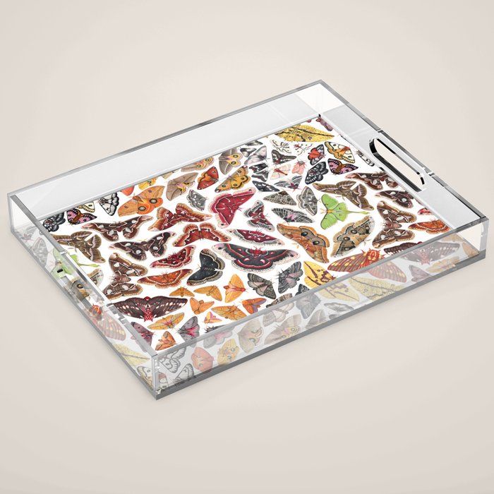 Saturniid Moths of North America Pattern Acrylic Tray Gallery Image 1