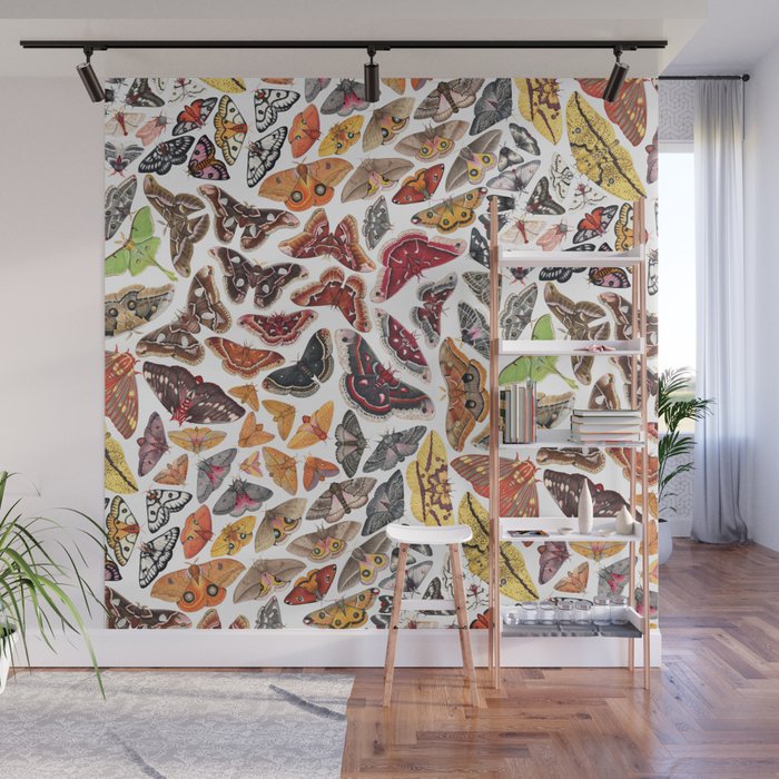Saturniid Moths of North America Pattern Wall Mural Gallery Image 1
