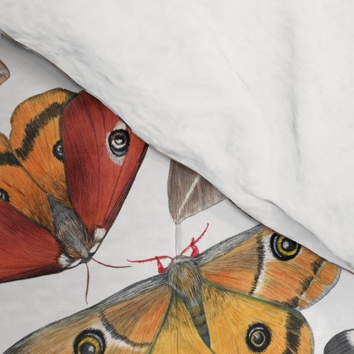 Saturniid Moths of North America Pattern Comforter Gallery Image 4