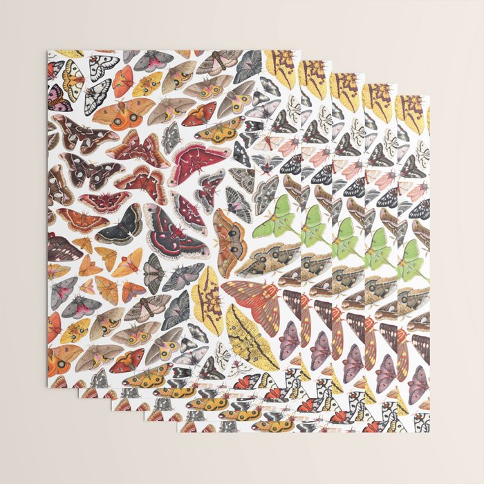 Saturniid Moths of North America Pattern Wrapping Paper Gallery Image 3