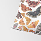 Saturniid Moths of North America Pattern Pillow Sham Gallery Image 4