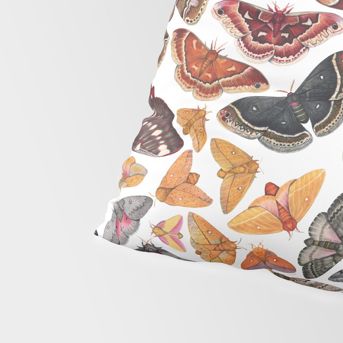 Saturniid Moths of North America Pattern Pillow Sham Gallery Image 4