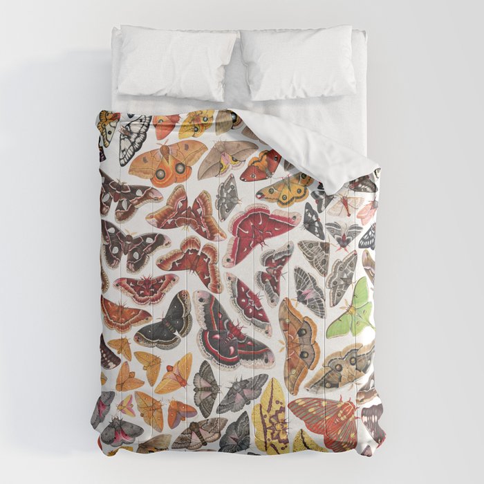Saturniid Moths of North America Pattern Comforter Gallery Image 6