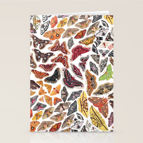 Saturniid Moths of North America Pattern Stationery Card Gallery Image 2