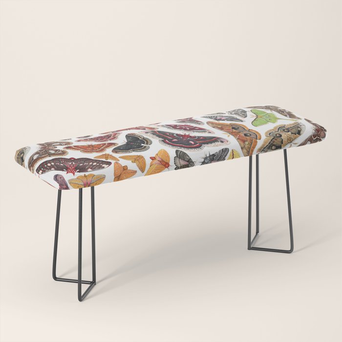 Saturniid Moths of North America Pattern Bench Gallery Image 1
