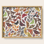 Saturniid Moths of North America Pattern Serving Tray Gallery Image 1