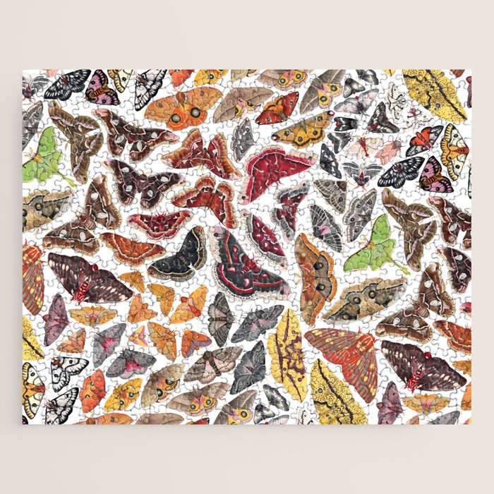 Saturniid Moths of North America Pattern Jigsaw Puzzle Gallery Image 1