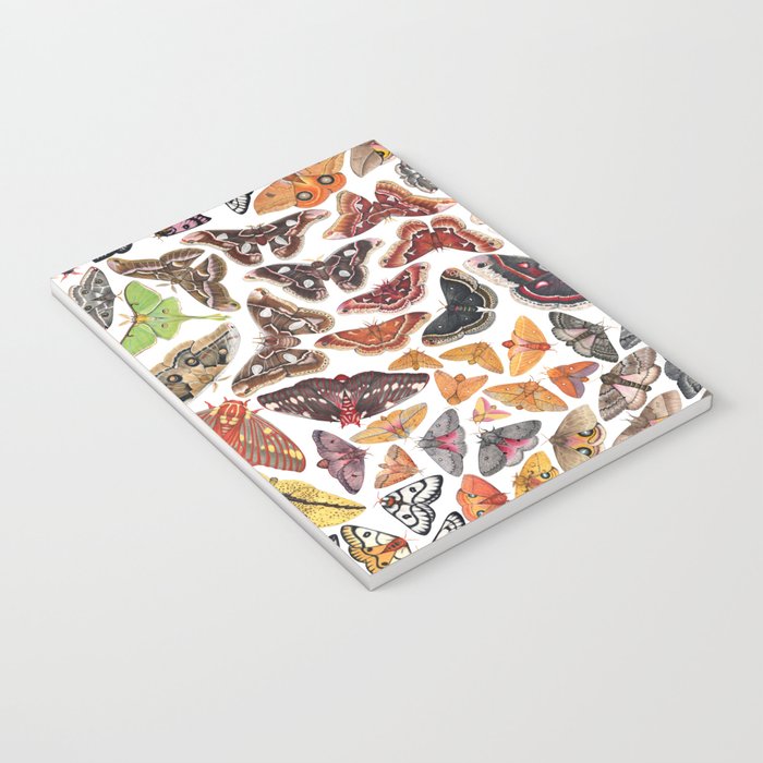 Saturniid Moths of North America Pattern Notebook Gallery Image 3