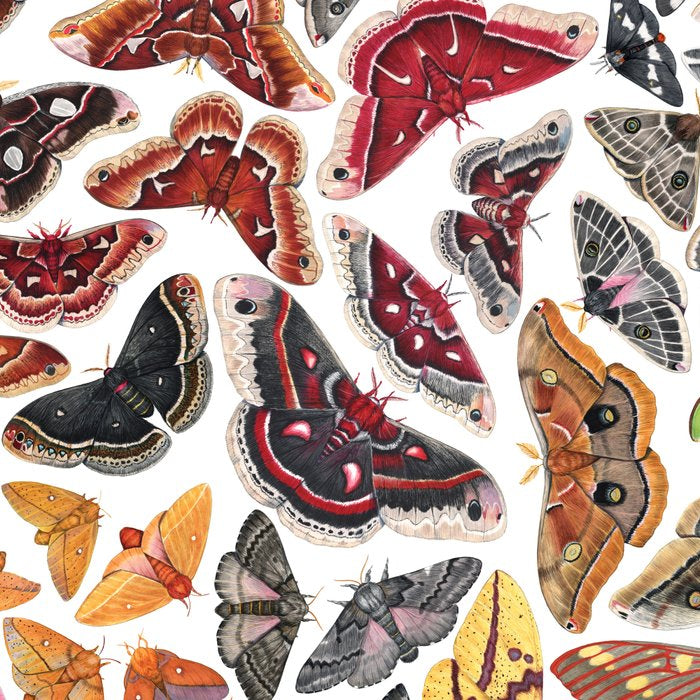 Saturniid Moths of North America Pattern Coffee Mug Gallery Image 2