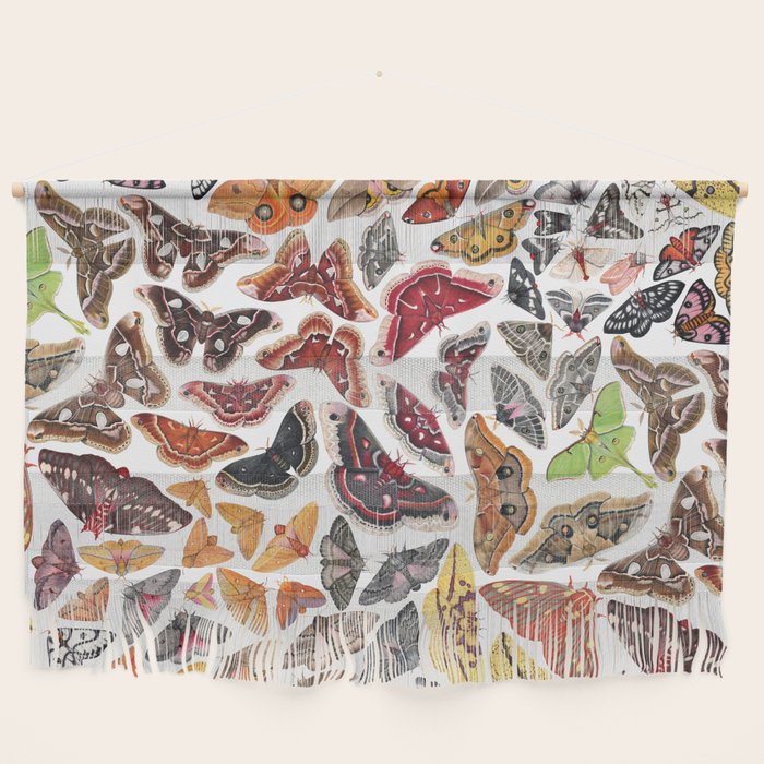 Saturniid Moths of North America Pattern Wall Hanging Gallery Image 1