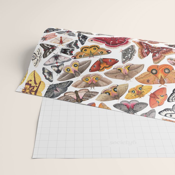 Saturniid Moths of North America Pattern Wrapping Paper Gallery Image 2
