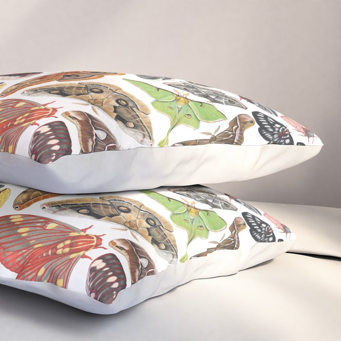 Saturniid Moths of North America Pattern Pillow Sham Gallery Image 3