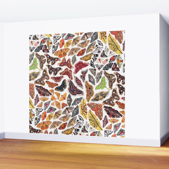 Saturniid Moths of North America Pattern Wall Mural Gallery Image 2