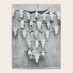 West Texas Wild IV Poster Gallery Image 4