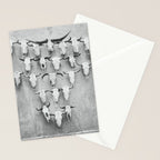West Texas Wild IV Stationery Card Gallery Image 2