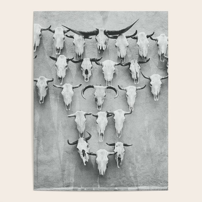 West Texas Wild IV Poster Gallery Image 1