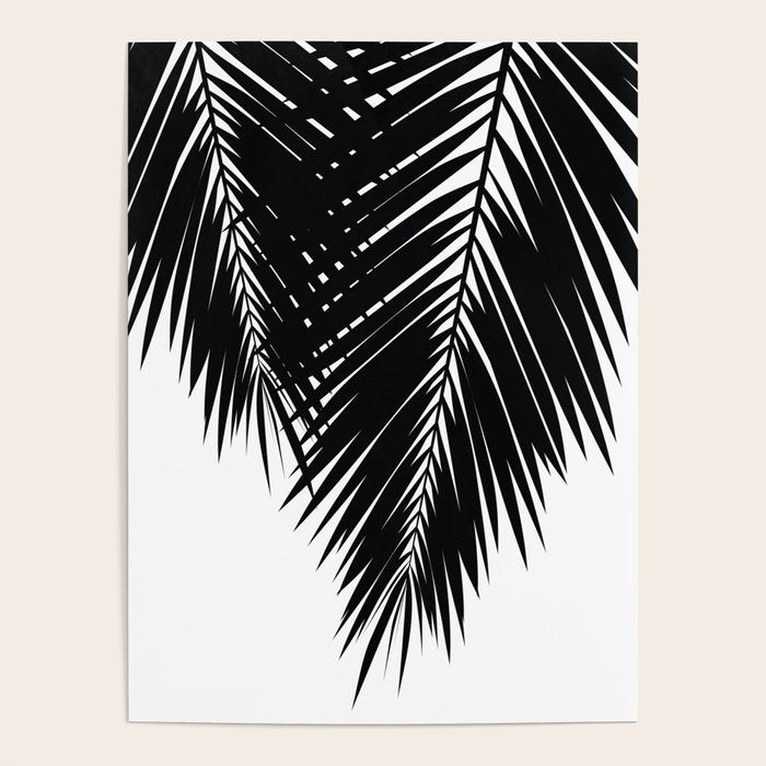 Palm 02 Poster Gallery Image 1
