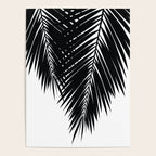 Palm 02 Poster Gallery Image 4