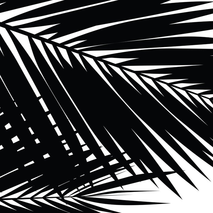 Palm 02 Coffee Mug Gallery Image 2