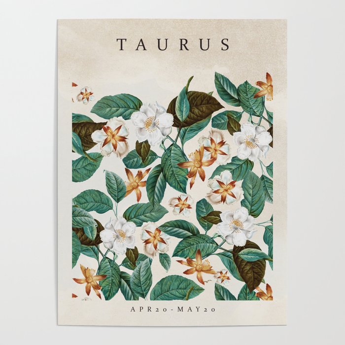 TAURUS Poster Gallery Image 4