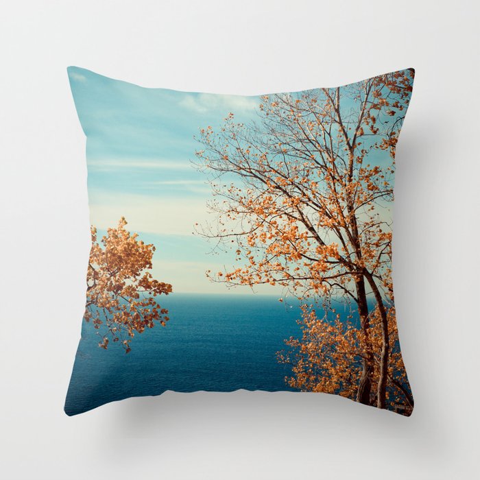 The View From the Top Throw Pillow Gallery Image 1