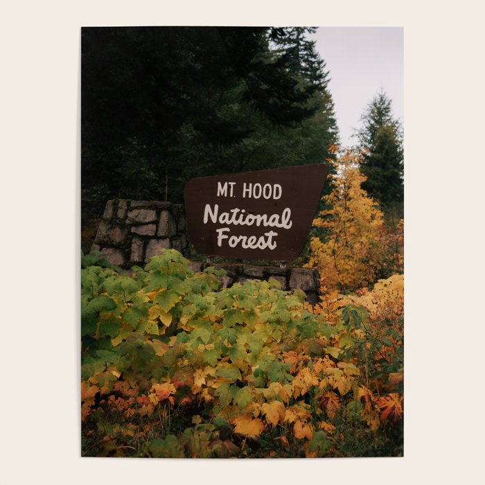 Mt Hood National Forest Sign Poster Gallery Image 1