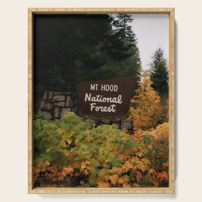 Mt Hood National Forest Sign Serving Tray Gallery Image 1