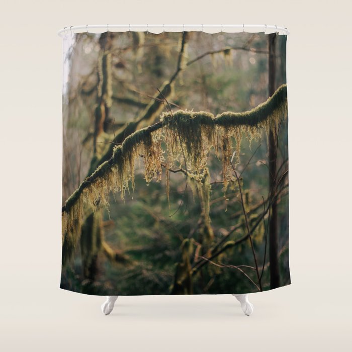 Hanging Moss Shower Curtain Gallery Image 1