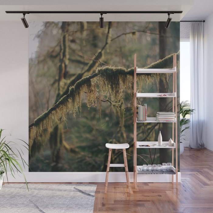 Hanging Moss Wall Mural Gallery Image 1