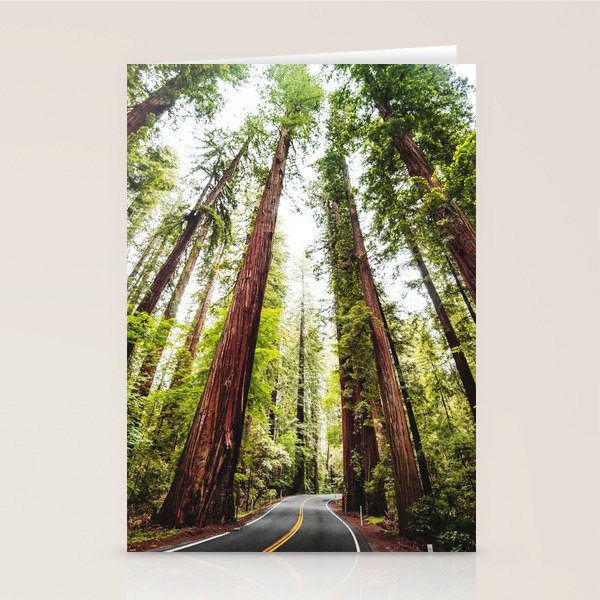 humboldt redwood forest Stationery Card Gallery Image 1