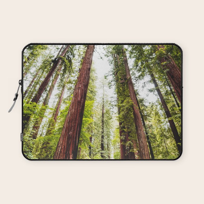 humboldt redwood forest Laptop Sleeve Gallery Image 1