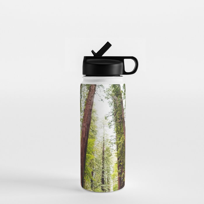 humboldt redwood forest Water Bottle Gallery Image 1