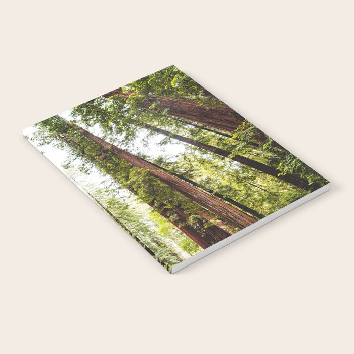 humboldt redwood forest Notebook Gallery Image 1
