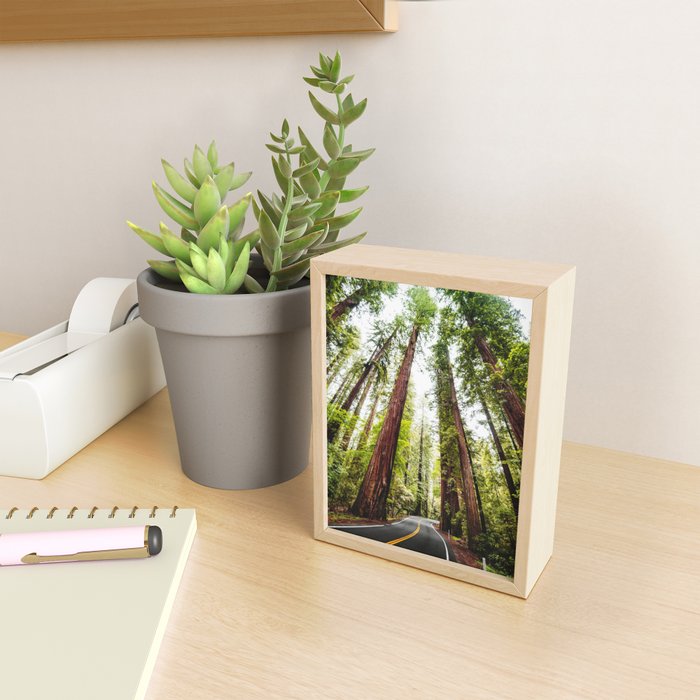 humboldt redwood forest Mini Art Print Gallery Image 2
