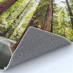 humboldt redwood forest Rug Gallery Image 4