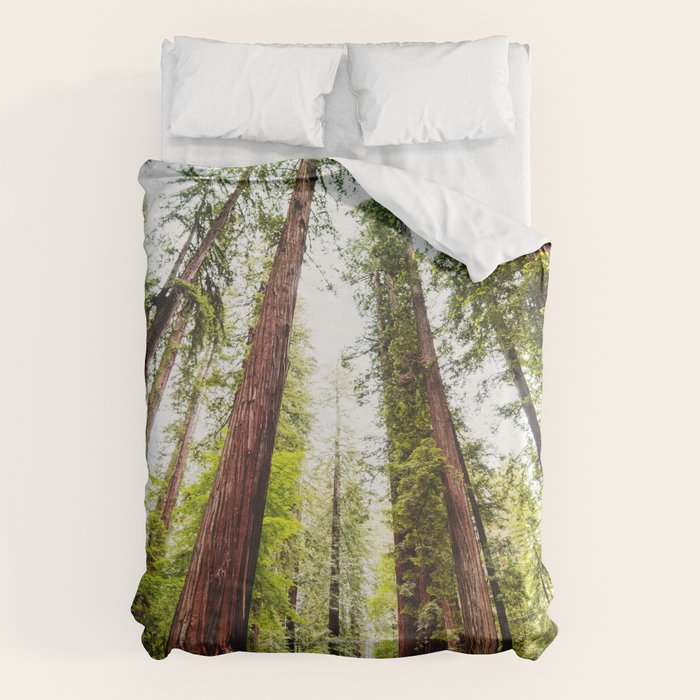 humboldt redwood forest Duvet Cover Gallery Image 1